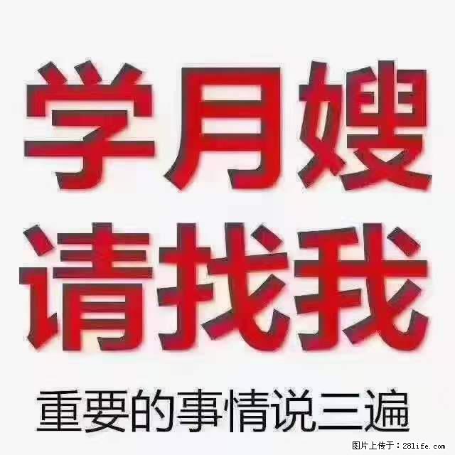 为什么要学习月嫂，育婴师？ - 其他广告 - 广告专区 - 铜川分类信息 - 铜川28生活网 tc.28life.com