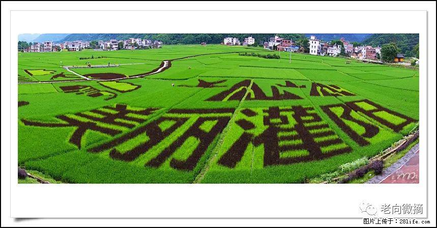 【春天，广西桂林灌阳县向您发出邀请！】开篇 - 游山玩水 - 铜川生活社区 - 铜川28生活网 tc.28life.com