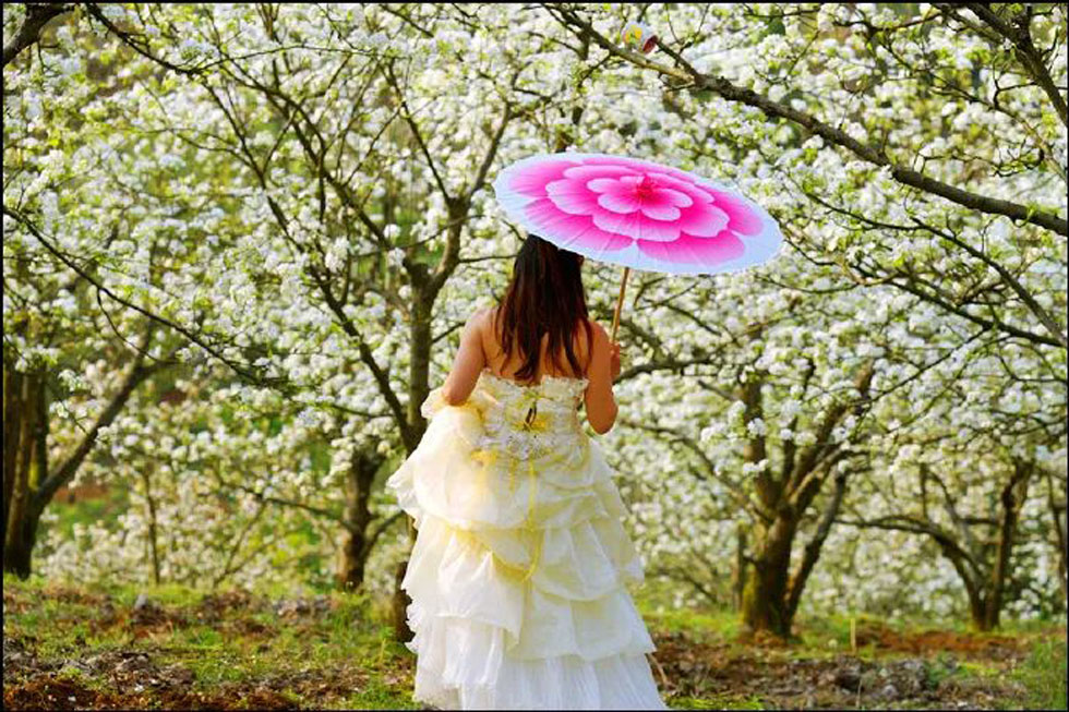 【春天，广西桂林灌阳县向您发出邀请！】我们在灌阳看梨花 - 游山玩水 - 铜川生活社区 - 铜川28生活网 tc.28life.com