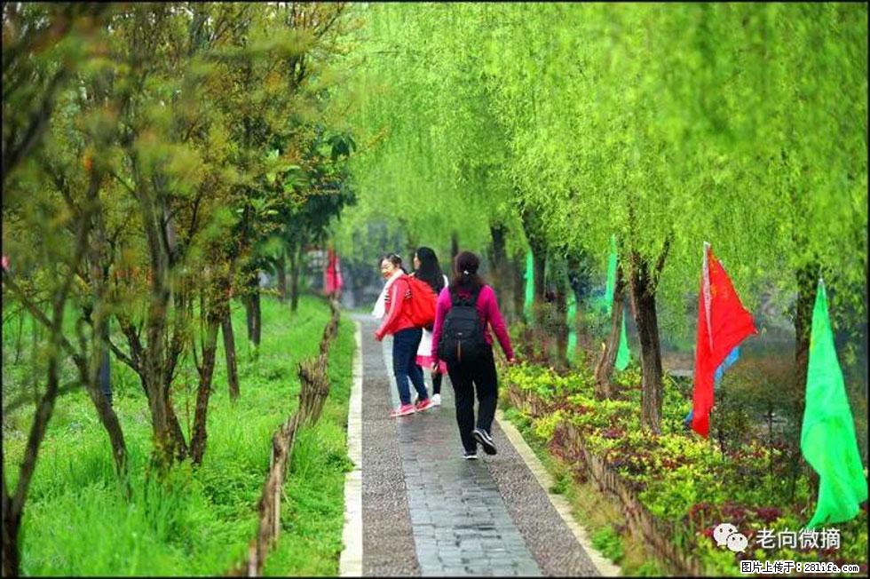 【春天，广西桂林灌阳县向您发出邀请！】江口老街又逢春 - 游山玩水 - 铜川生活社区 - 铜川28生活网 tc.28life.com