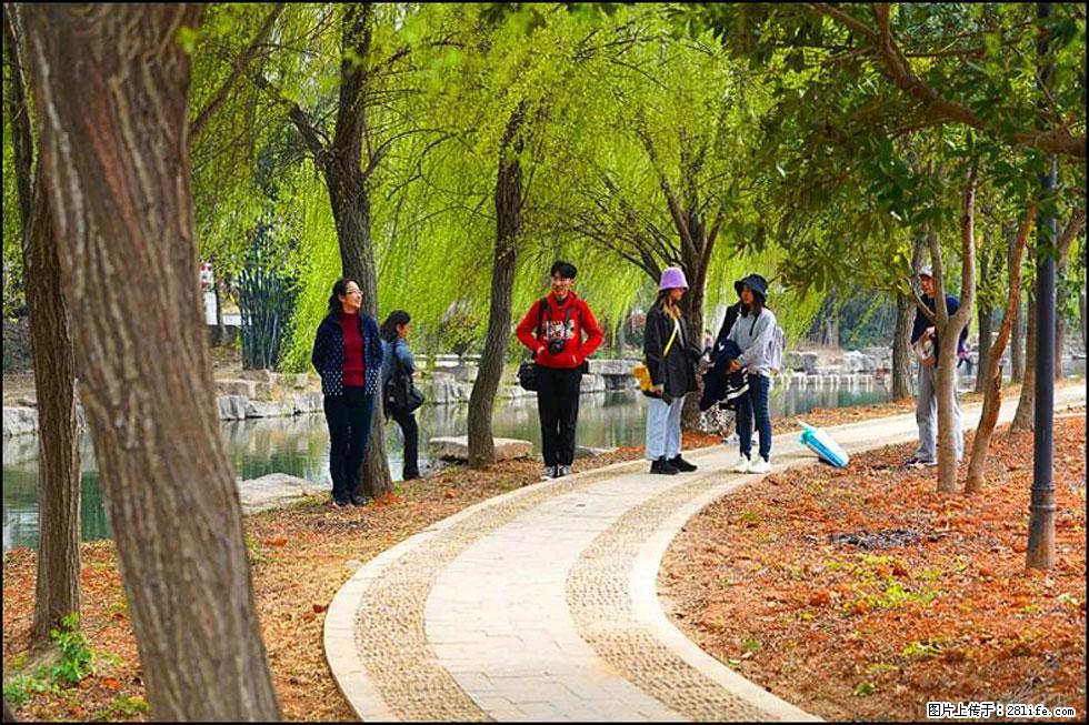 【春天，广西桂林灌阳县向您发出邀请！】江口老街又逢春 - 游山玩水 - 铜川生活社区 - 铜川28生活网 tc.28life.com