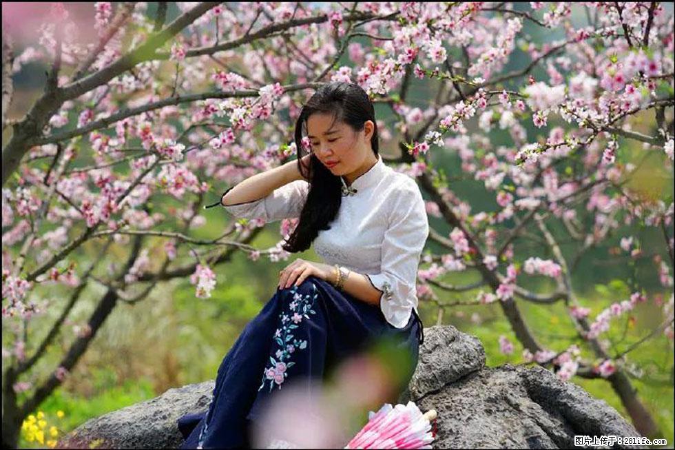 【春天，广西桂林灌阳县向您发出邀请！】望月岭上桃花开 - 游山玩水 - 铜川生活社区 - 铜川28生活网 tc.28life.com