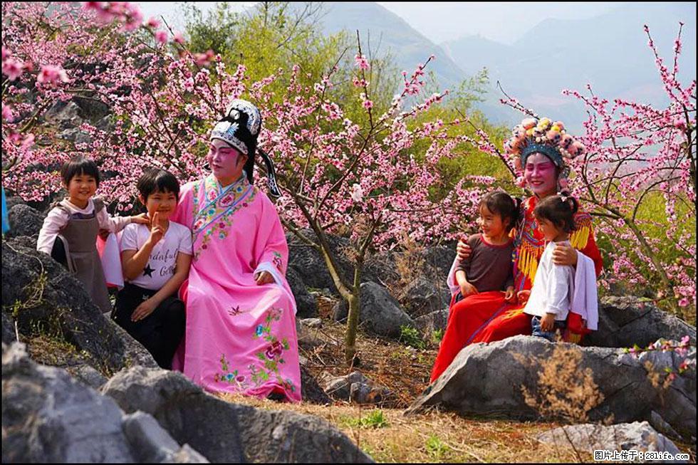 【春天，广西桂林灌阳县向您发出邀请！】望月岭上桃花开 - 游山玩水 - 铜川生活社区 - 铜川28生活网 tc.28life.com