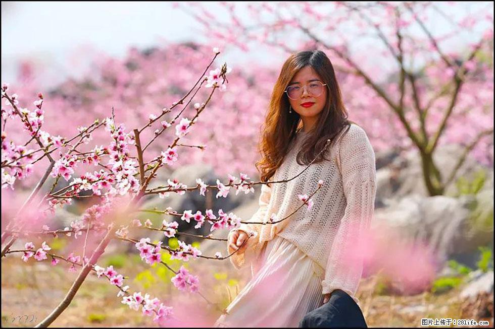 【春天，广西桂林灌阳县向您发出邀请！】望月岭上桃花开 - 游山玩水 - 铜川生活社区 - 铜川28生活网 tc.28life.com