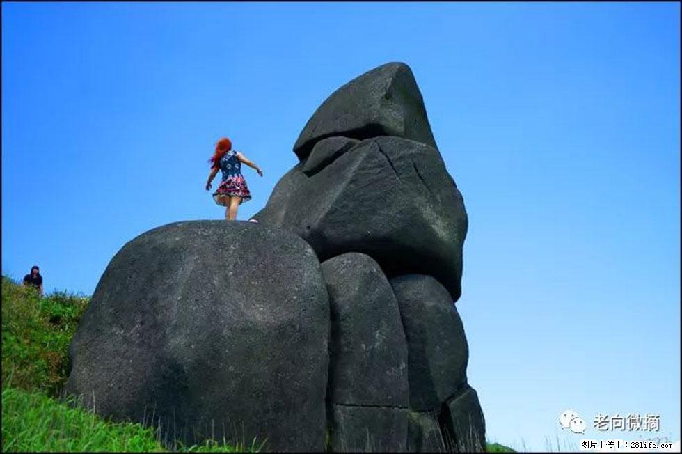 【春天，广西桂林灌阳县向您发出邀请！】宝盖山上映山红 - 游山玩水 - 铜川生活社区 - 铜川28生活网 tc.28life.com