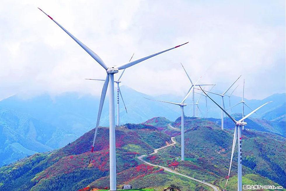 【春天，广西桂林灌阳县向您发出邀请！】春木界上映山红 - 游山玩水 - 铜川生活社区 - 铜川28生活网 tc.28life.com