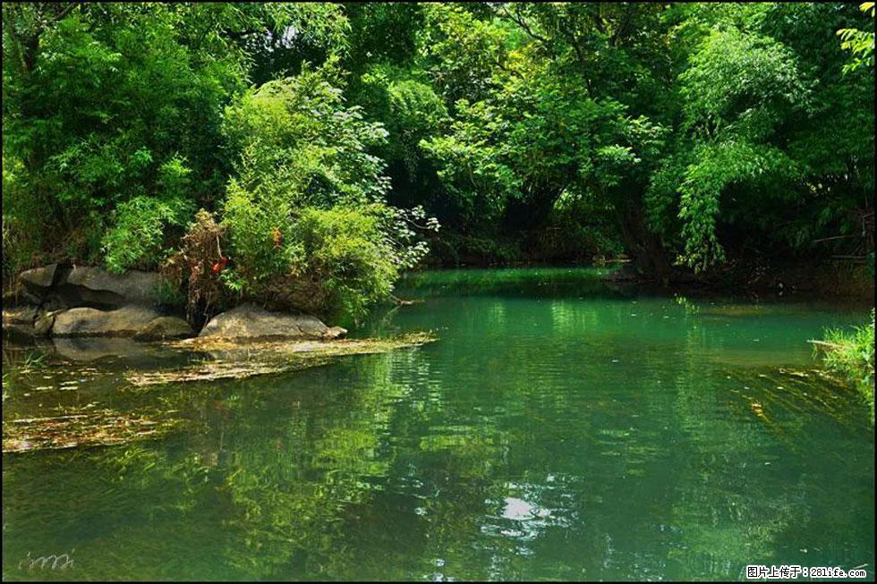 【春天，广西桂林灌阳县向您发出邀请！】如梦似幻莲溪庐 - 游山玩水 - 铜川生活社区 - 铜川28生活网 tc.28life.com