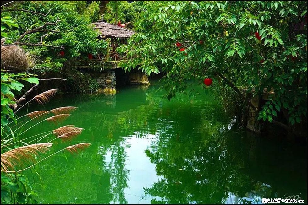 【春天，广西桂林灌阳县向您发出邀请！】如梦似幻莲溪庐 - 游山玩水 - 铜川生活社区 - 铜川28生活网 tc.28life.com