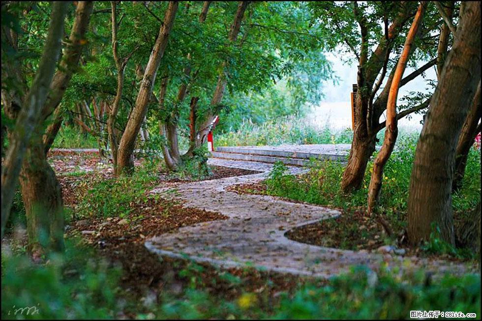 【春天，广西桂林灌阳县向您发出邀请！】熊家寨湿地公园 - 游山玩水 - 铜川生活社区 - 铜川28生活网 tc.28life.com