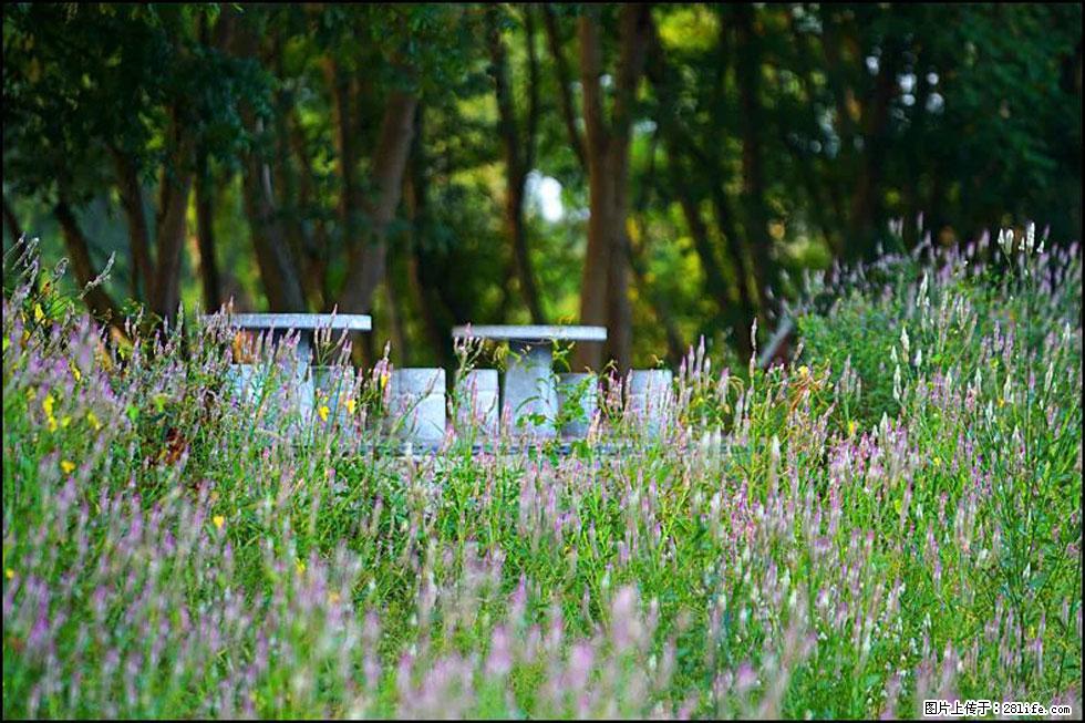 【春天，广西桂林灌阳县向您发出邀请！】熊家寨湿地公园 - 游山玩水 - 铜川生活社区 - 铜川28生活网 tc.28life.com