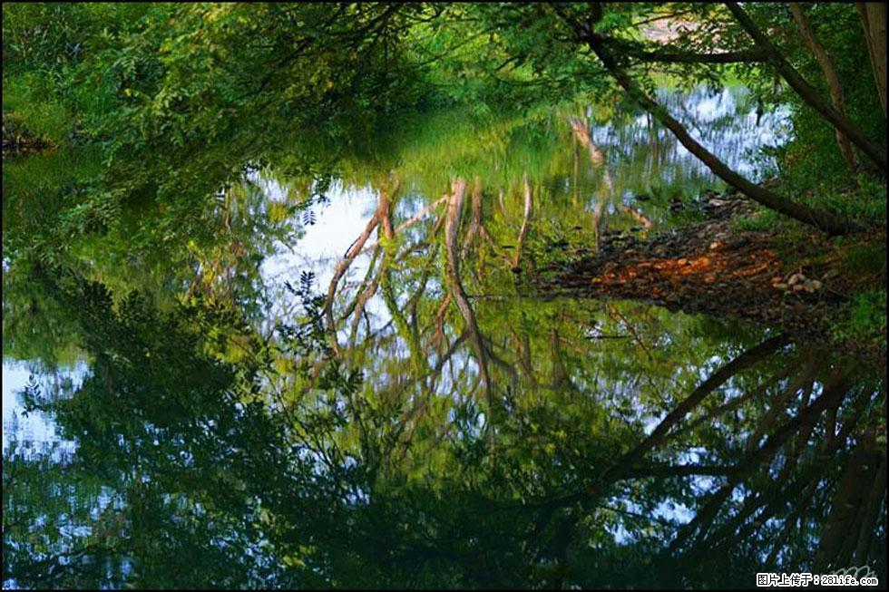 【春天，广西桂林灌阳县向您发出邀请！】熊家寨湿地公园 - 游山玩水 - 铜川生活社区 - 铜川28生活网 tc.28life.com