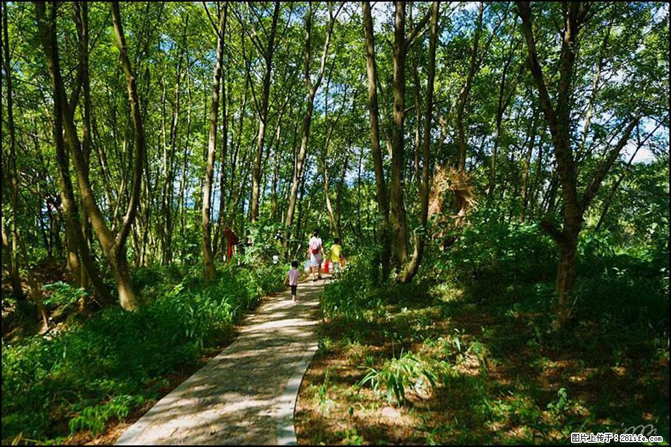 【春天，广西桂林灌阳县向您发出邀请！】熊家寨湿地公园 - 游山玩水 - 铜川生活社区 - 铜川28生活网 tc.28life.com