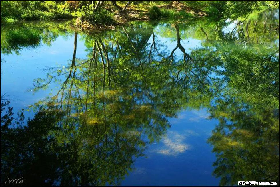 【春天，广西桂林灌阳县向您发出邀请！】熊家寨湿地公园 - 游山玩水 - 铜川生活社区 - 铜川28生活网 tc.28life.com