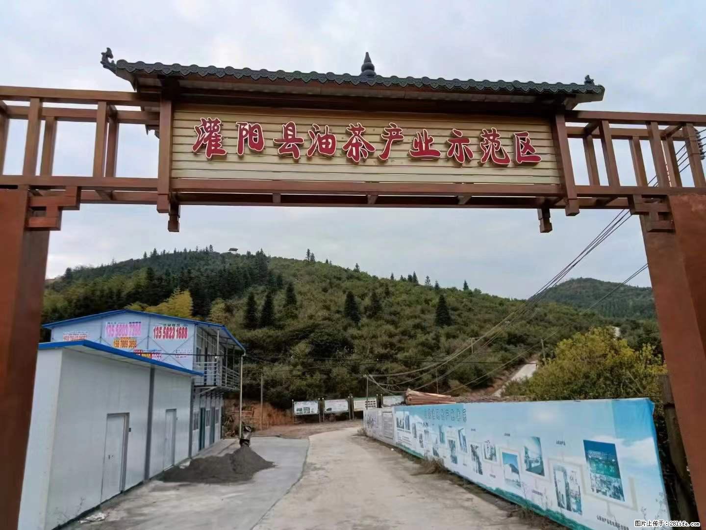 【灌阳县油茶产业示范区】一个有着充实的精神生活的人,对待身外之物自会有一种淡泊的态度 - 美食天地 - 铜川生活社区 - 铜川28生活网 tc.28life.com