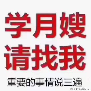为什么要学习月嫂，育婴师？ - 铜川28生活网 tc.28life.com