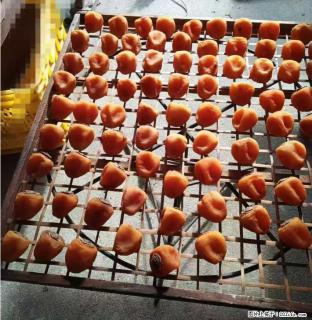 广西桂林平乐桥亭【柿饼之乡】2025年纯手工制作、无任何添加剂的第一批柿饼准备上市了，欢迎联系订购！ - 铜川28生活网 tc.28life.com