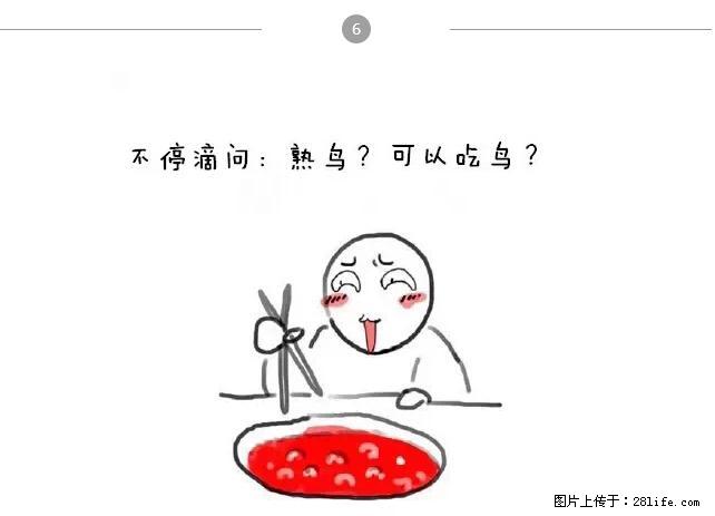 千万不要和这9种哈卵一起吃火锅! - 美食天地 - 铜川生活社区 - 铜川28生活网 tc.28life.com