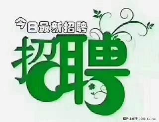 上海青浦区招仓管 - 铜川28生活网 tc.28life.com