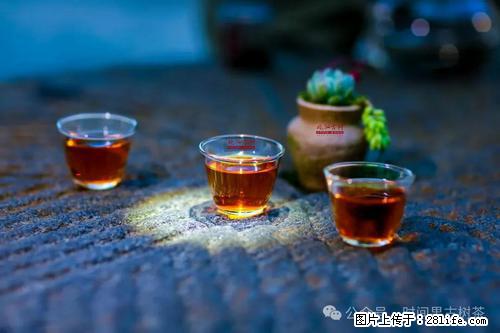 时间果百年古树2025年春红茶 - 购物交流 - 铜川生活社区 - 铜川28生活网 tc.28life.com