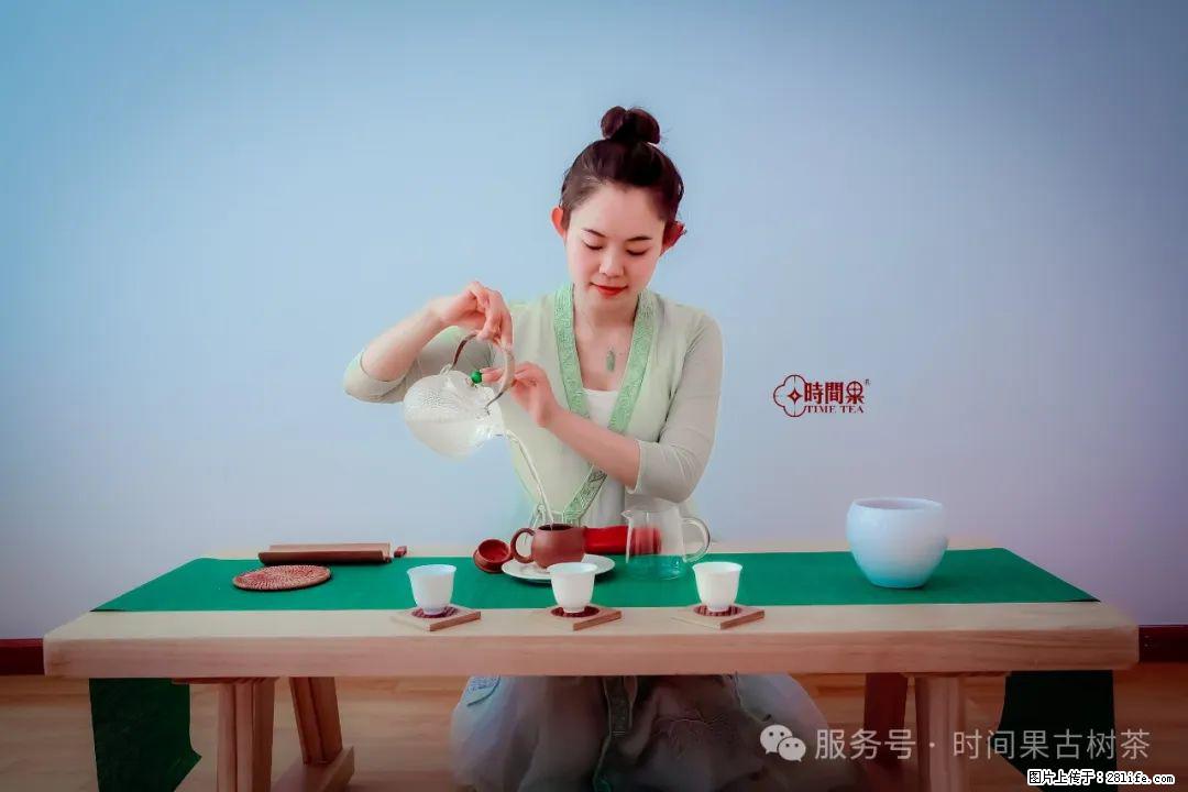 时间果百年古树龙珠普洱生茶 - 购物交流 - 铜川生活社区 - 铜川28生活网 tc.28life.com