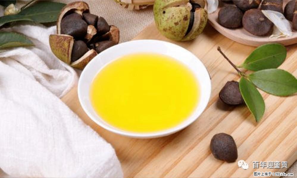 揭秘茶油的5大核心营养成分！被称为人体健康的“守护盾”！ - 铜川生活资讯 - 铜川28生活网 tc.28life.com