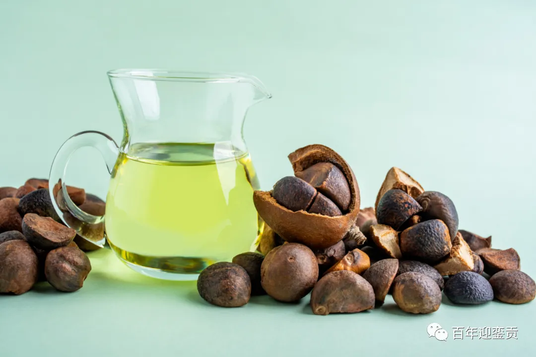 世界没有真相，只有认知，最好的食用油是中国的山茶油！ - 铜川生活资讯 - 铜川28生活网 tc.28life.com