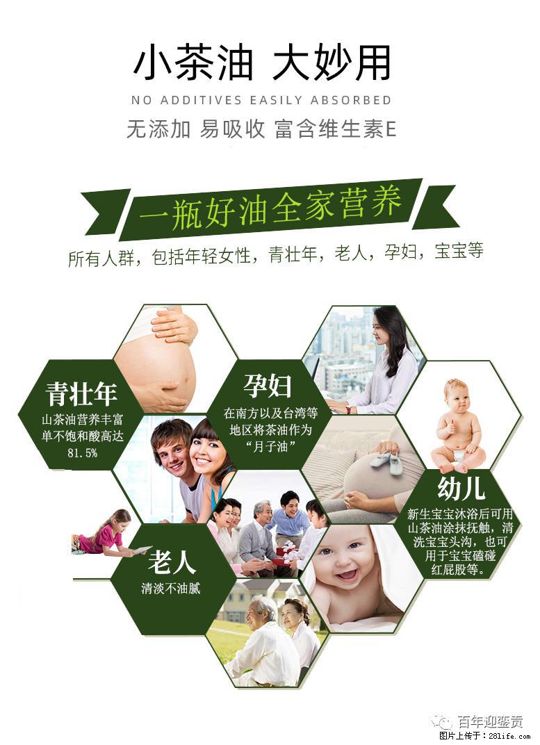 世界没有真相，只有认知，最好的食用油是中国的山茶油！ - 铜川生活资讯 - 铜川28生活网 tc.28life.com