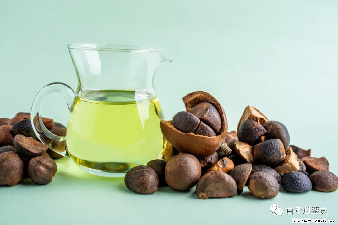 世界没有真相，只有认知，最好的食用油是中国的山茶油！ - 铜川生活资讯 - 铜川28生活网 tc.28life.com