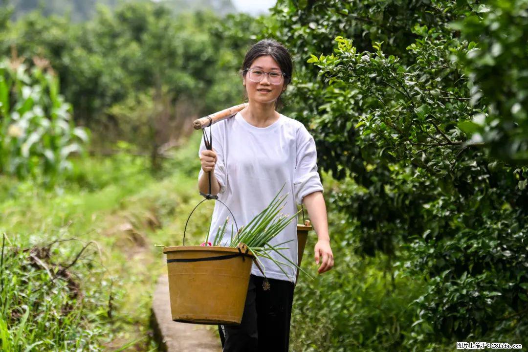 全网追的“扁担女孩”,找了一份暑假工,时薪12元 - 铜川生活资讯 - 铜川28生活网 tc.28life.com