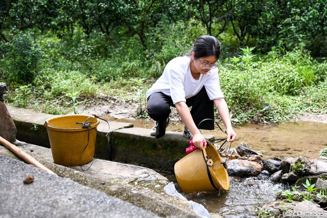 全网追的“扁担女孩”,找了一份暑假工,时薪12元 - 铜川生活资讯 - 铜川28生活网 tc.28life.com