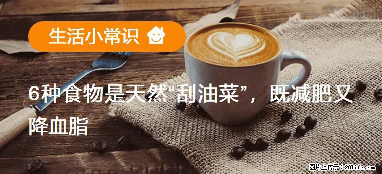 【生活小常识】6种食物是天然“刮油菜”,既减肥又降血脂 - 铜川生活资讯 - 铜川28生活网 tc.28life.com