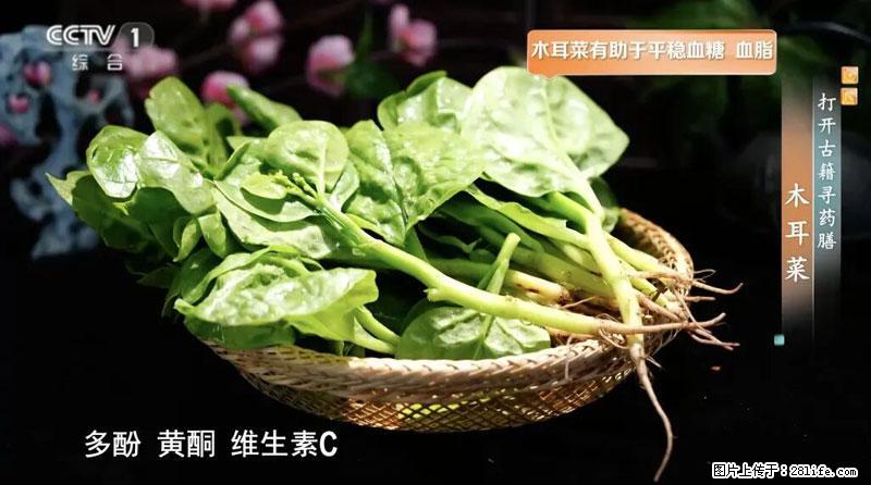 比牛奶补钙还厉害！凉血解毒、稳血糖...这菜冬天必吃，很多人却当草 - 铜川生活资讯 - 铜川28生活网 tc.28life.com