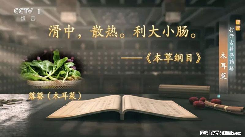 比牛奶补钙还厉害！凉血解毒、稳血糖...这菜冬天必吃，很多人却当草 - 铜川生活资讯 - 铜川28生活网 tc.28life.com