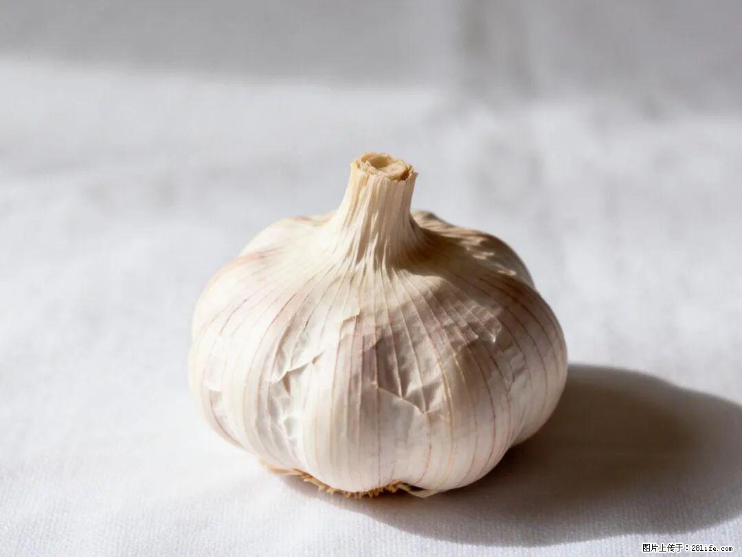 关于大蒜，除了“天然抗生素”，这4个谣言更该警惕! - 铜川生活资讯 - 铜川28生活网 tc.28life.com