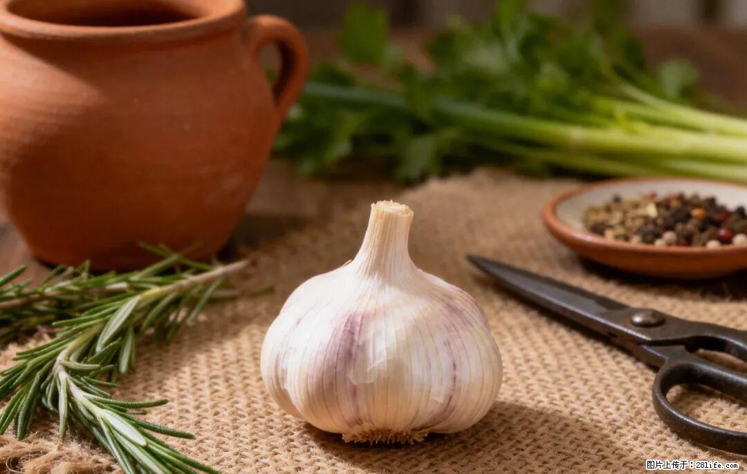 关于大蒜，除了“天然抗生素”，这4个谣言更该警惕! - 铜川生活资讯 - 铜川28生活网 tc.28life.com