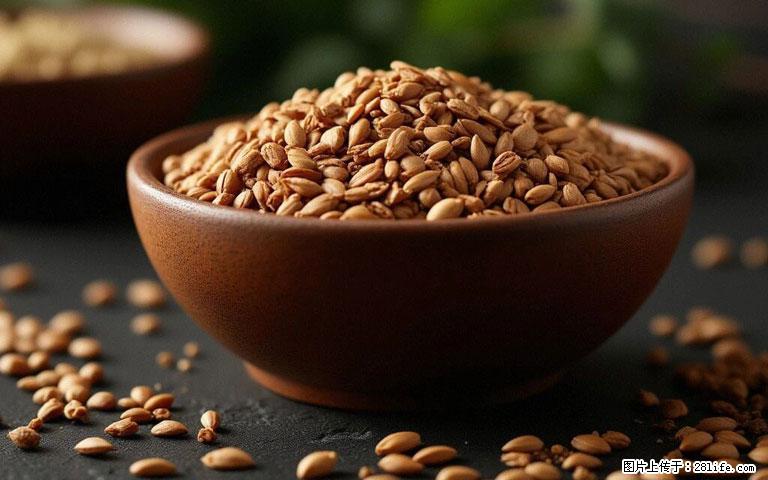 这三苦是三高“克星”，心血管干净不易堵！每天吃一点，指标慢慢降下来~ - 铜川生活资讯 - 铜川28生活网 tc.28life.com