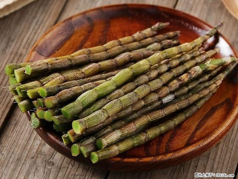 铁皮石斛的作用与功能主治 - 铜川生活资讯 - 铜川28生活网 tc.28life.com