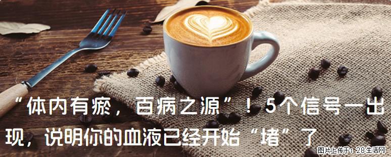 “体内有瘀，百病之源”！5个信号一出现，说明你的血液已经开始“堵”了 - 铜川生活资讯 - 铜川28生活网 tc.28life.com